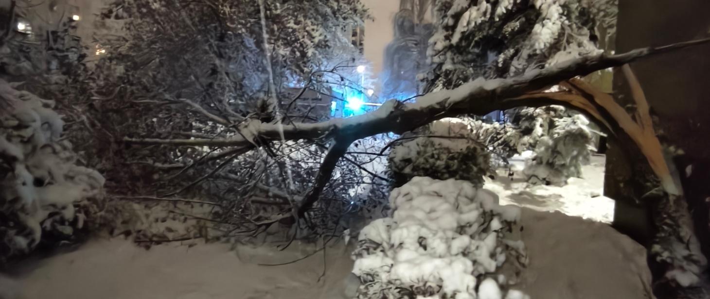 Ponad 140 interwencji w związku z silnymi opadami śniegu