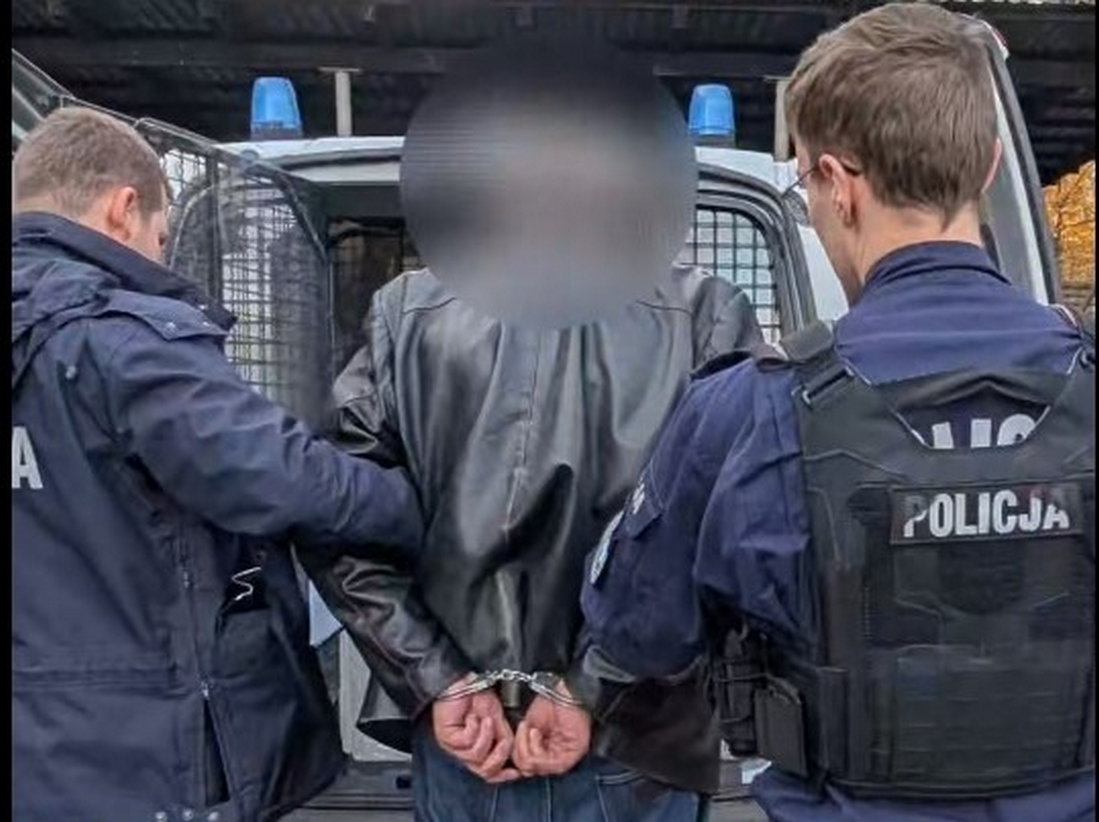 Zatrzymany sprawca śmiertelnego wypadku drogowego na DK36