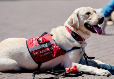 Maskarada w Polskim Języku Migowym – Pyrkon stawia na dostępność
