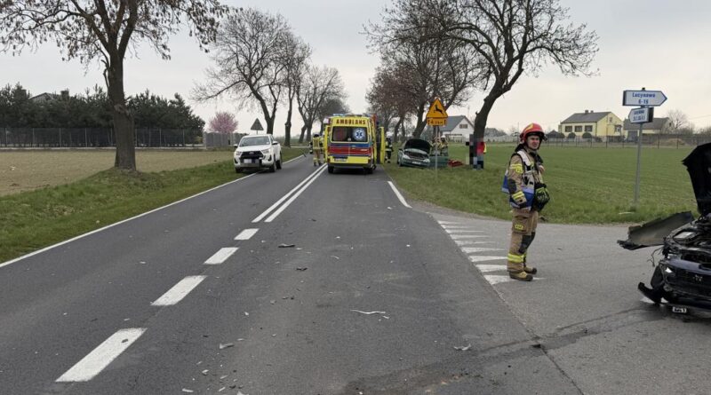 Poranny wypadek w Lucynowie na DW 263 Poranny wypadek w Lucynowie na DW 263