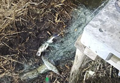 Kłusownicy zatrzymani na gorącym uczynku – usłyszeli już zarzuty