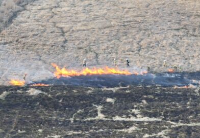 Ogromny pożar traw na łąkach nadnoteckich