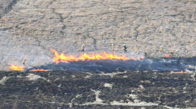 Ogromny pożar traw na łąkach nadnoteckich