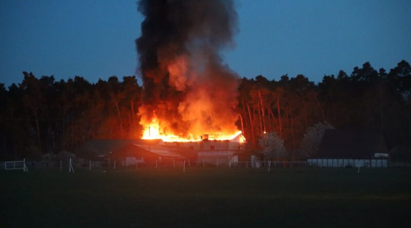 Pożar budynku mieszkalnego w Zdroju pod Grodziskiem Wielkopolskim