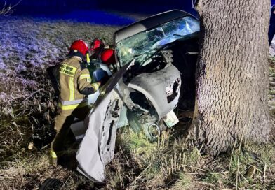 Tragedia na DW! Auto uderzyło w drzewo – kierowca nie żyje
