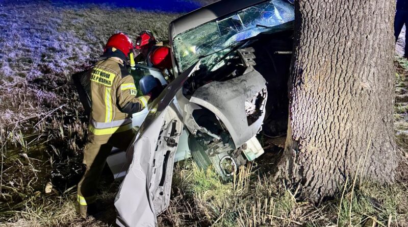 Tragedia na DW! Auto uderzyło w drzewo – kierowca nie żyje