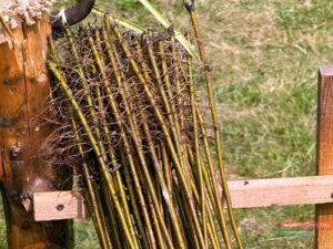 nowotomyskimagazyn-4