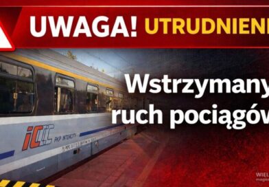 Uwaga! Utrudnienia na kolei w Wielkopolsce. Wstrzymany ruch pociągów na odcinku Buk – Palędzie