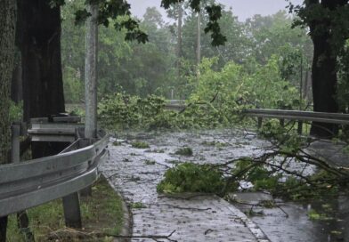 Nawałnice nad Wielkopolską. Strażacy odnotowali już blisko 80 interwencji Nawałnice nad Wielkopolską. Strażacy odnotowali już blisko 80 interwencji