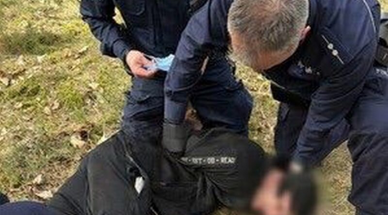 POWIAT NOWOTOMYSKI: Ucieczka z autostrady zakończona w lesie. 33-latek zatrzymany po pościgu pod Łomnicą POWIAT NOWOTOMYSKI: Ucieczka z autostrady zakończona w lesie. 33-latek zatrzymany po pościgu pod Łomnicą