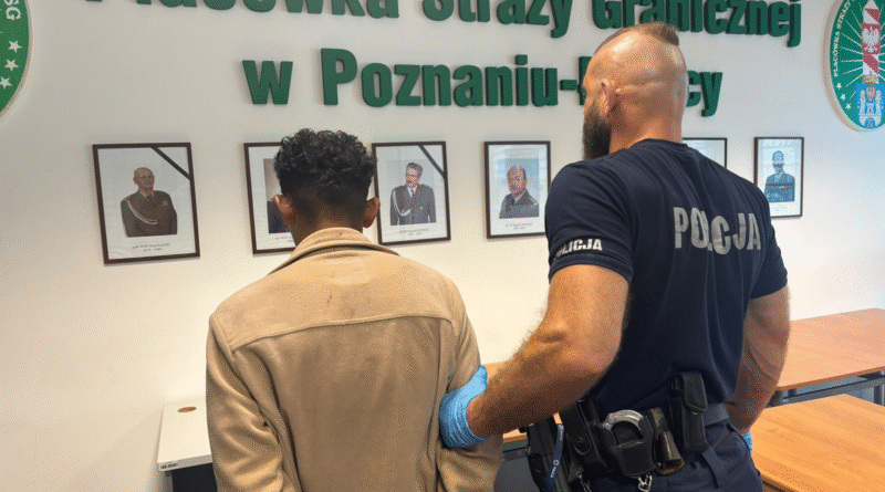 Wniosek policjantów o deportację agresywnego obcokrajowca
