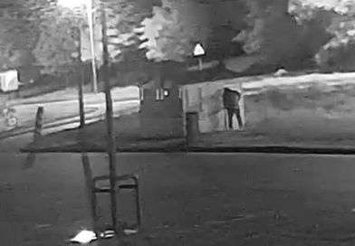 Podejrzany o zniszczenie stoiska z truskawkami usłyszał zarzuty Podejrzany o zniszczenie stoiska z truskawkami usłyszał zarzuty