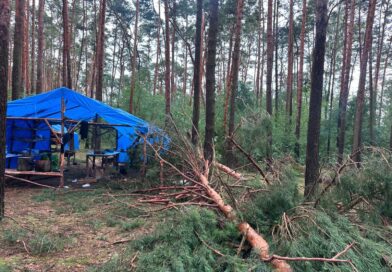 Ponad 120 interwencji po burzach w Wielkopolsce. Ewakuowano uczestników obozu harcerskiego Ponad 120 interwencji po burzach w Wielkopolsce. Ewakuowano uczestników obozu harcerskiego