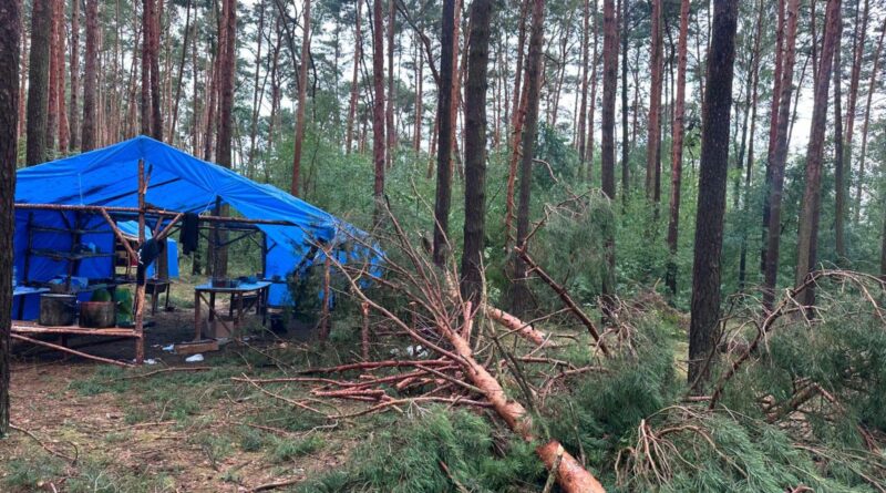 Ponad 120 interwencji po burzach w Wielkopolsce. Ewakuowano uczestników obozu harcerskiego Ponad 120 interwencji po burzach w Wielkopolsce. Ewakuowano uczestników obozu harcerskiego