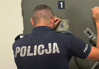 Areszt dla podejrzanego o znęcanie się nad matką