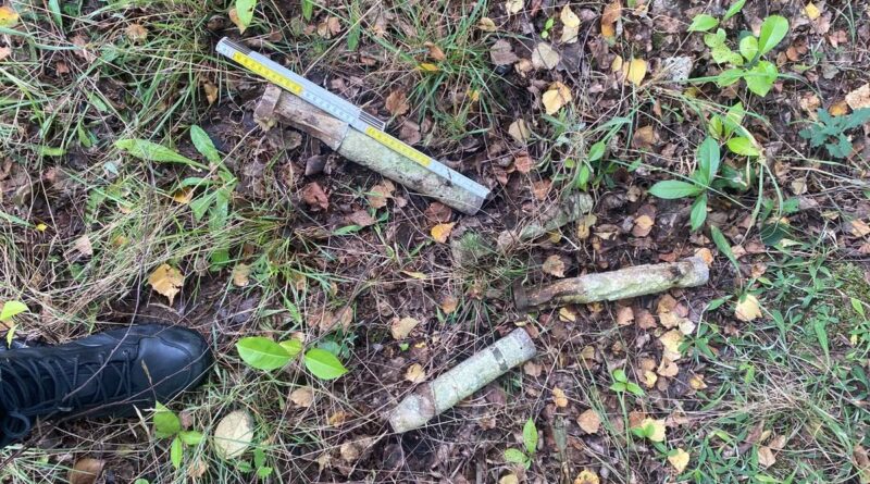 Wybierając się na grzyby do lasu możesz znaleźć bombę! Wybierając się na grzyby do lasu możesz znaleźć bombę!