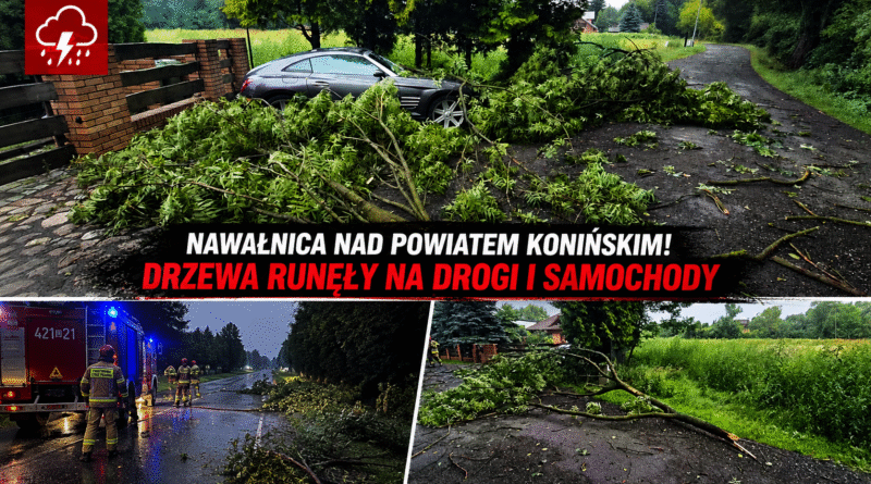 Nocna nawałnica uderzyła w Wielkopolskę. Strażacy ruszyli do akcji. Nocna nawałnica uderzyła w Wielkopolskę. Strażacy ruszyli do akcji.