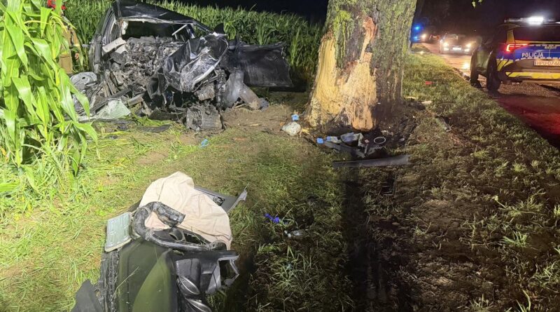 Tragiczny wypadek w Wielkopolsce. 24-letni kierowca zginął po uderzeniu w drzewo