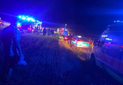 Pies wrócił sam, właścicielka zaginęła. Po czterech godzinach odnaleziono ją zziębniętą i osłabioną