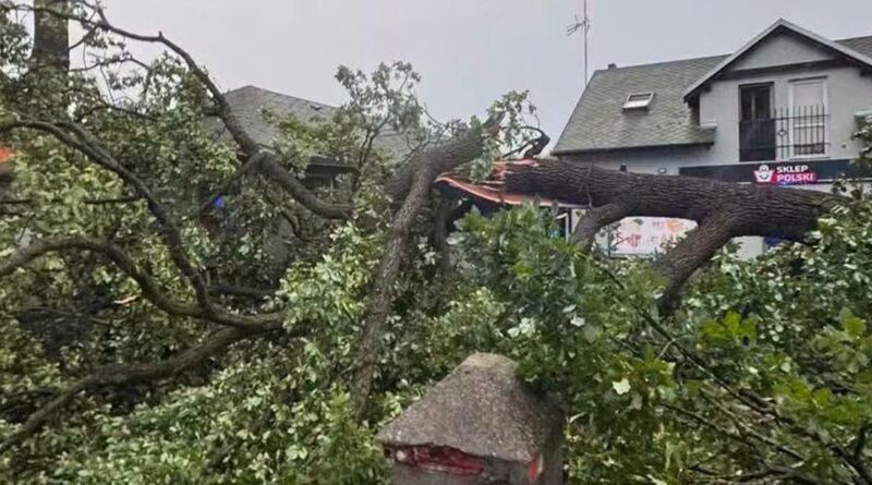 Burze nad Wielkopolską. Ponad 300 interwencji w piątkowy wieczór i noc