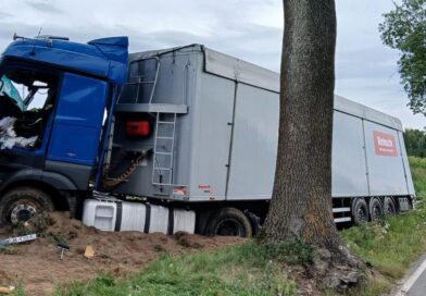 Samochód ciężarowy uderzył w drzewa Samochód ciężarowy uderzył w drzewa