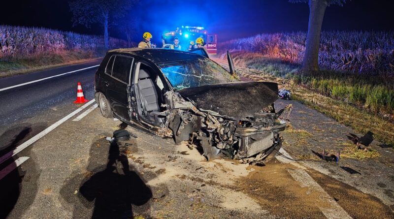 Volkswagen uderzył w drzewo, kobietę i mężczyznę przewieziono do szpitala Volkswagen uderzył w drzewo, kobietę i mężczyznę przewieziono do szpitala