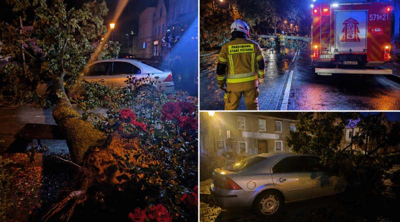 Alarm za alarmem. Strażacy usuwali skutki silnego wiatru