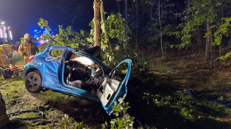 Nocny wypadek w Wielkopolsce. Peugeot uderzył w drzewo, kierowca został uwięziony w aucie Nocny wypadek w Wielkopolsce. Peugeot uderzył w drzewo, kierowca został uwięziony w aucie