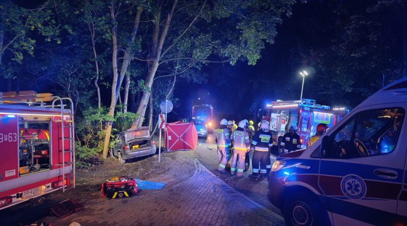 Pięć osób w samochodzie, tragiczny finał. Auto wypadło z drogi i uderzyło w drzewo Pięć osób w samochodzie, tragiczny finał. Auto wypadło z drogi i uderzyło w drzewo