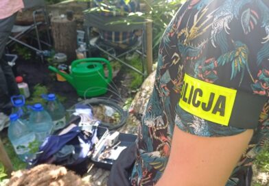 160 krzewów konopii w lesie. Policjanci zatrzymali dwóch mężczyzn podejrzanych o nielegalną uprawę.
