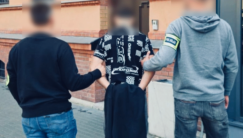 Strzelał do zaparkowanych samochodów. 18-latek zatrzymany przez poznańskich policjantów na Mazowszu