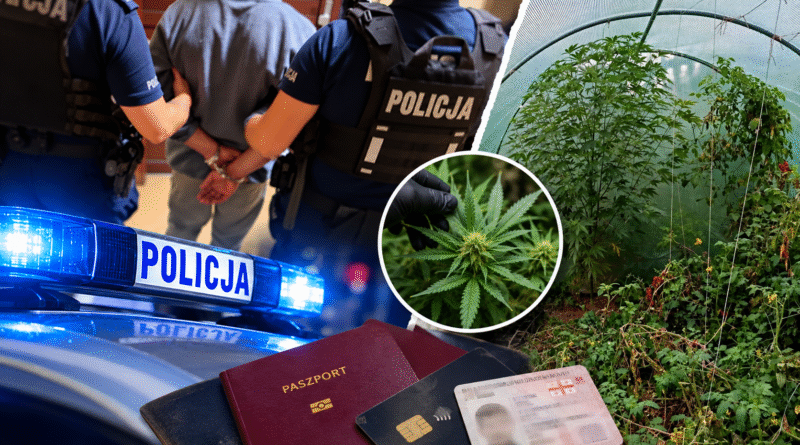 Pobili, grozili i okradli – zostali zatrzymani Pobili, grozili i okradli – zostali zatrzymani